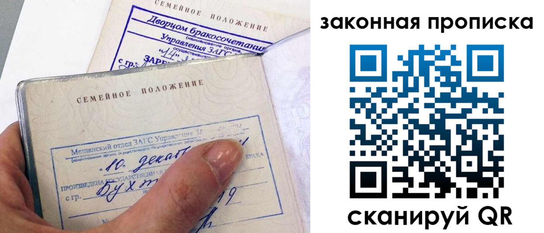 прописка поиск в Павловске